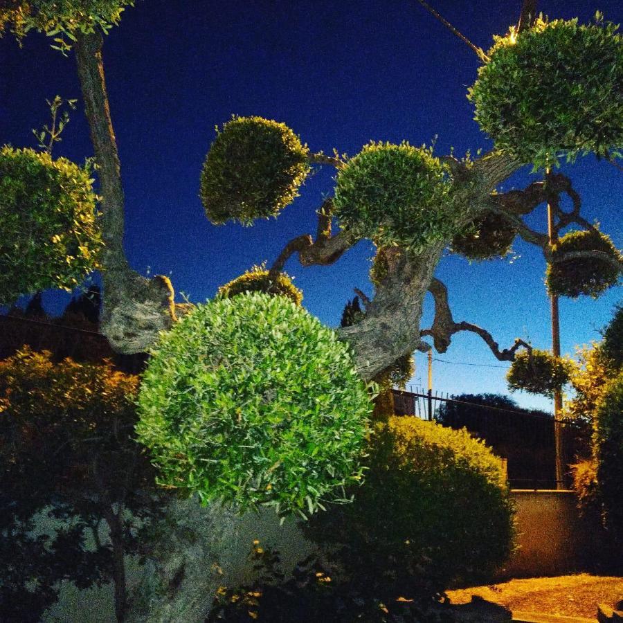 B&B Villa Lucia Bari Exterior foto